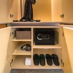 Delight Digital 55583 sef za namještaj s čitačem otiska prsta i nizom gumba - 352x250x250 mm