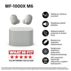 Sony WF-1000XM6 ANC bežične slušalice (TWS) srebrne boje
