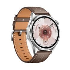 Huawei Pametni sat Watch GT 6 46mm Classic Brown