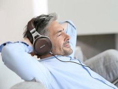 Denon AH-D5200 žičane slušalice srebrno-smeđe boje