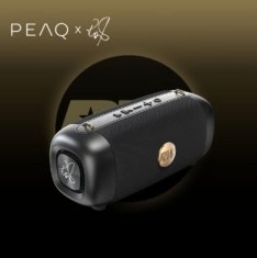 PPA 405-RW Robbie Williams Edition crni bežični zvučnik