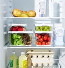 Rotho CAUMA Organizator za Hladnjak 1,15L - Transparentni Rotho Box