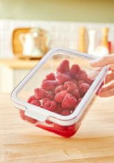 Rotho CAUMA Organizator za Hladnjak, 2,15 L, Transparentni Plastični Spremnik