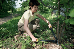 Fiskars PowerGear Bypass Lopper Medium L74 ručna škara 545 mm (1000582)