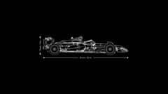LEGO Automobil McLaren MCL39 F1® (42228)