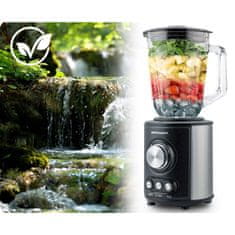 Berdsen 800W BD-751 blender s vrčem, crni