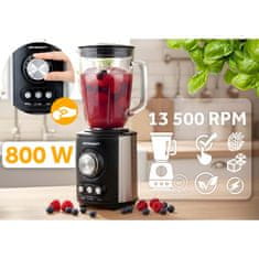 Berdsen 800W BD-751 blender s vrčem, crni