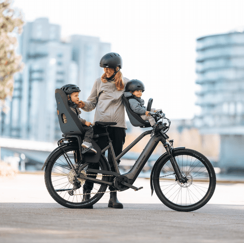Thule Yepp Nexxt 2 Maxi RM Dark slate