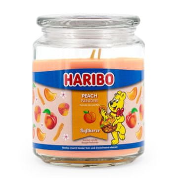 Haribo Držač za kanister od metala 10-20 litara crni za automobil