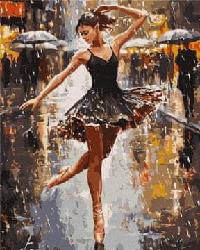 Rayher.	 Slikanje po brojevima, The grace of therain, 40x50 cm