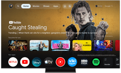 TCL 55C8L 4K UHD TV, SQD-Mini LED, GoogleTV