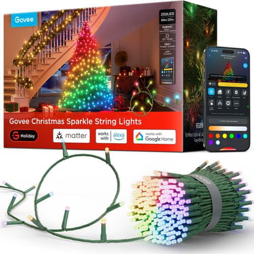 Božićne lampice Govee Sparkle
