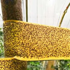 Netscroll Ljepljiva traka za insekte, žuta dvostrana zamka, BarrierTape