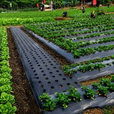 FRILLA® Vrtna podloga protiv korova 0,95x10 m – folija za rast biljaka bez trave | VEGUARD