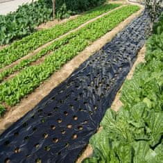 FRILLA® Vrtna podloga protiv korova 0,95x10 m – folija za rast biljaka bez trave | VEGUARD
