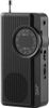 JVC Prijenosni radio RA-E311B