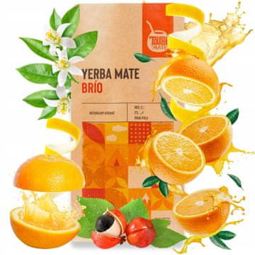 Yerba mate green touch mate brio iq 500 g ginko biloba ginseng guarana