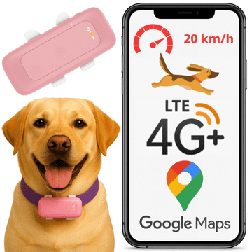 Lokalizator gps s26l 4g roza