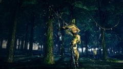 Namco Bandai Games Dark Souls: Remastered (PS4)