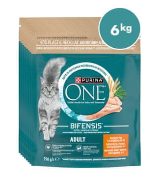 Purina ONE briketi za odrasle mačke s okusom piletine, 8x750g
