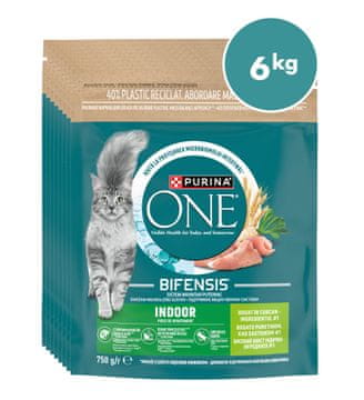 Purina ONE briketi za domaće mačke s okusom puretine, 8x750g