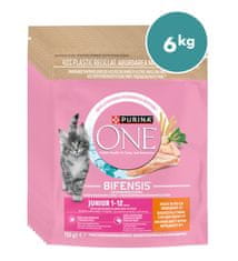 Purina ONE briketi za mlade mačke s okusom piletine, 8x750g