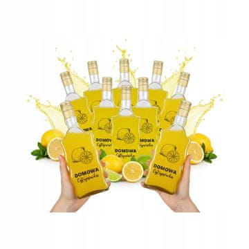 BE 10x Wave boca od 500 ml, tiskane domaće staklene boce s limunskom votkom za likere