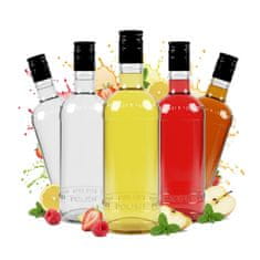 BE 5x luksuznih staklenih boca od 500 ml za tinkture, vinski sok i 0,5 l