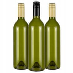 BE 10x Staklena boca maslina ZA vino 750ml s navojnim čepom za likere, vino, sok