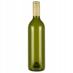 BE 10x Staklena boca maslina ZA vino 750ml s navojnim čepom za likere, vino, sok