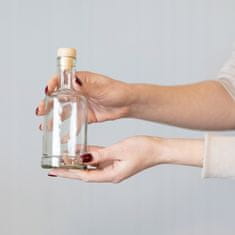 BE 10x Poklon boca Liker, Tinktura, Vino - Tadek Staklena Boca 250ml