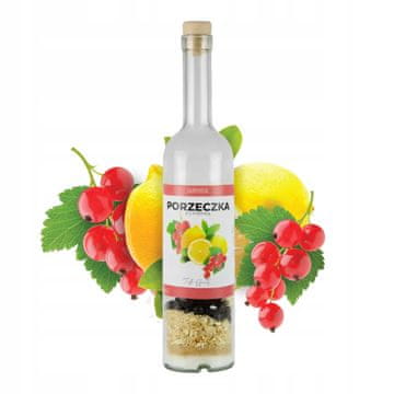 BE Boca od 500 ml s domaćom tinkturom od voća ribizla "uradi sam"