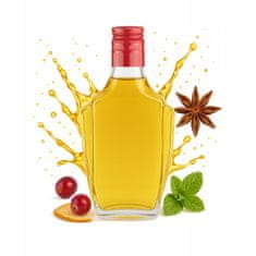 BE 5x Nobel boca 250ML + čep za tinkture, mjesečinu, vinski alkohol 0,25l