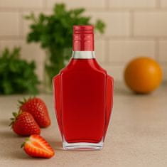 BE 5x Nobel boca 250ML + čep za tinkture, mjesečinu, vinski alkohol 0,25l