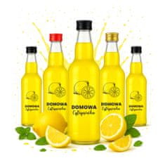 BE 10x Monopoly boca 500ml s printom limuna, staklena posuda za votku