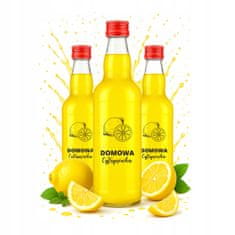 BE 10x Monopoly boca 500ml s printom limuna, staklena posuda za votku