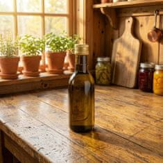 BE 10x vinskih staklenih boca od 200 ml, tamne staklene boce za uzorke vinskog octa i likera