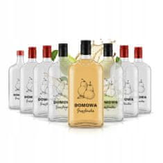 BE 10x Klasične boce 500ml domaće votke od kruške s printom