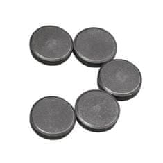 Rayher.	 Magneti, 20 mm debljine 5 mm, 5 kom