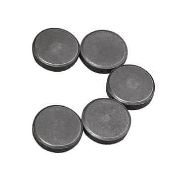 Rayher.	 Magneti, 20 mm debljine 5 mm, 5 kom