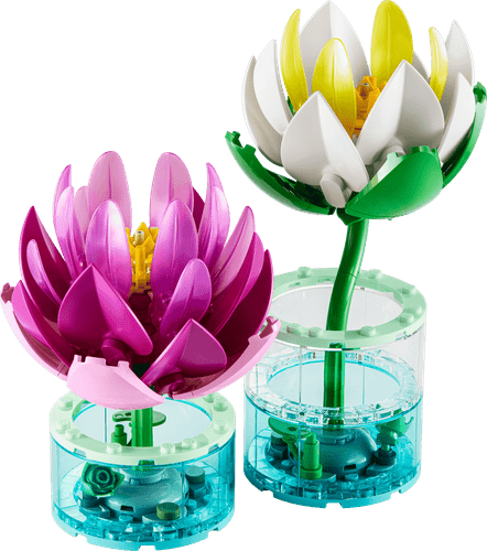 Kreativni komplet LEGO Lopoči