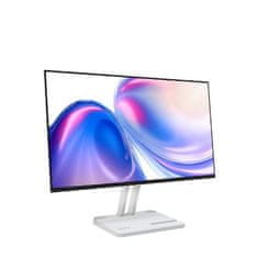 Lenovo Lenovo L24-45 23.8FHD HDMI VGA oblačno siva