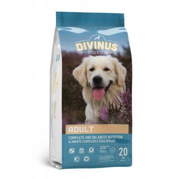 Divinus suha hrana za odrasle pse pasmine LABRADOR GOLDEN 20 kg