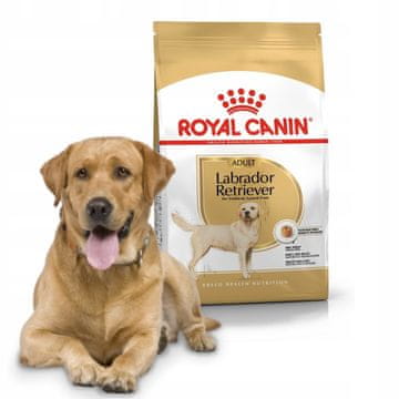 Royal Canin BHN Labrador Adult suha hrana za pse 12 kg