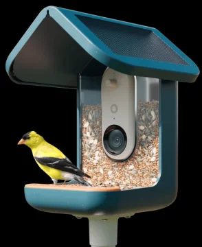 Roland birdbuddy PRO solar
