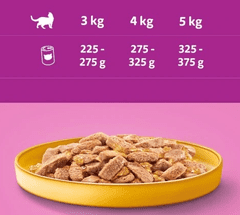Whiskas PILETINA U ŽELEU KONZERVI 24x400 mokra hrana za mačke s PILETINOM