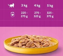 Whiskas PILETINA U ŽELEU KONZERVI 24x400 mokra hrana za mačke s PILETINOM