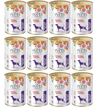 4VETS Natural Gastro Intestinal Dog - mokra hrana za pse - 12 x 400 g