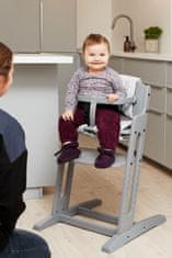 BabyDan Baby Dan krzesełko do karmienia Danchair, sivo