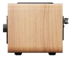 Blaupunkt Drveni radio DR10CR